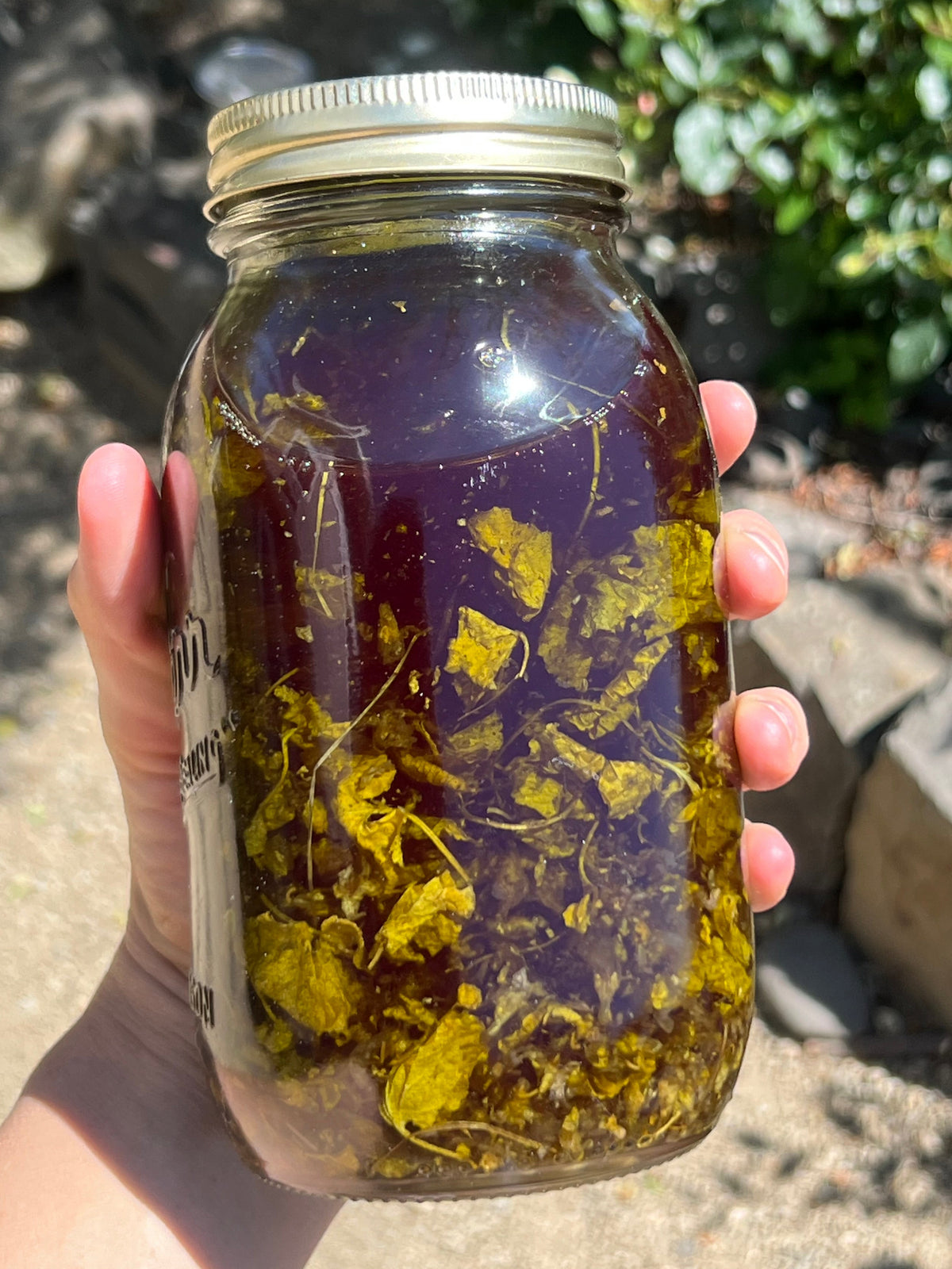 Violet Leaf Oil